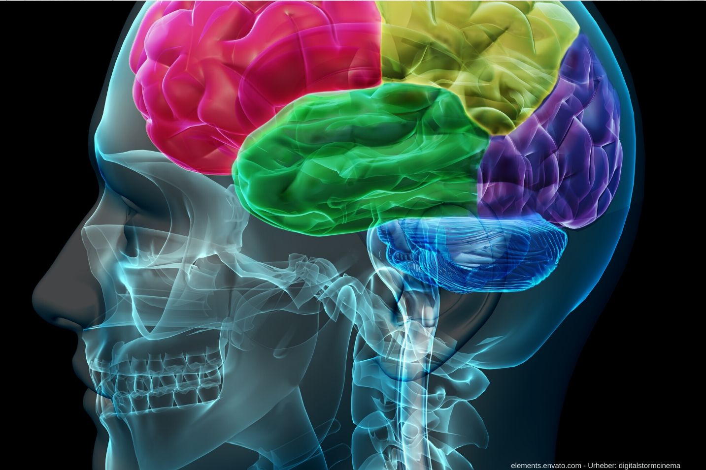 Neuration seriöses Gehirntraining?